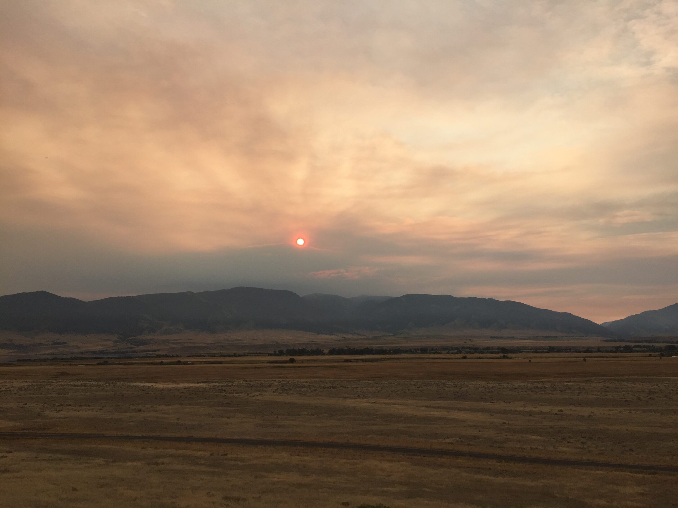 Grace in Ennis Montana sunrise