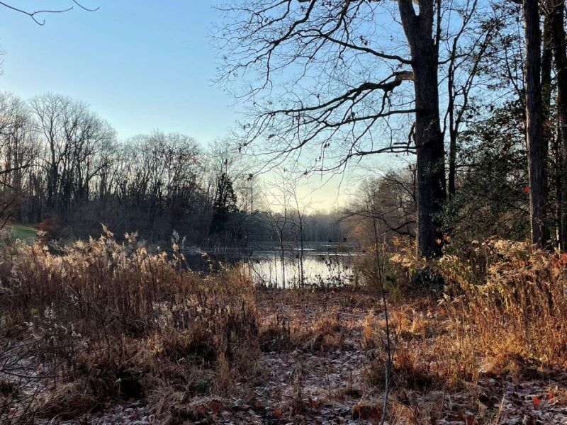 connection in nature forest mountain lakes princeton new jersey